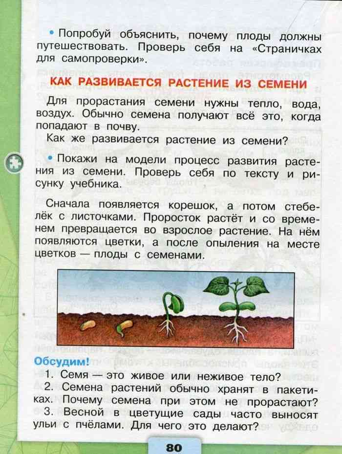 Учебник Окружающий мир 3 класс Плешаков часть 1 читать онлайн